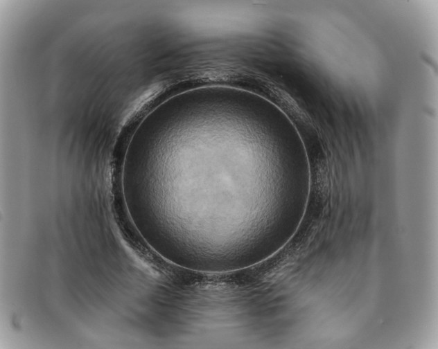 X0000091540730200708171243