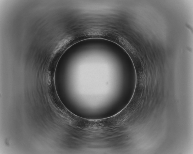 X0000091540731200708171243