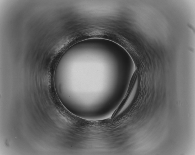 X0000091540732200708171243