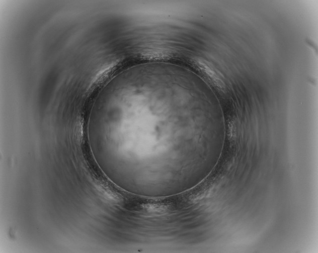 X0000091540733200708171243