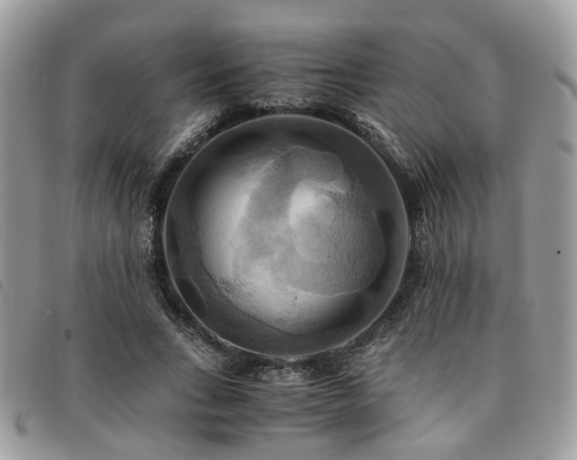X0000091540735200708171243