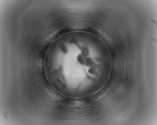 X0000091540737200708171243