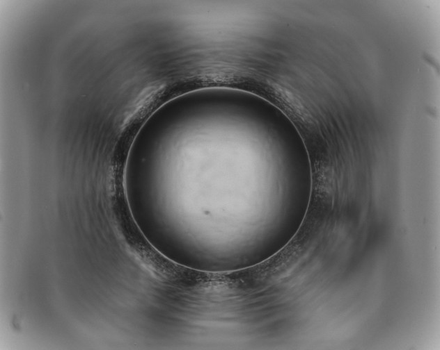 X0000091540738200708171243