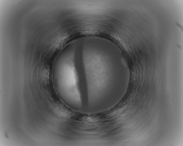 X0000091540739200708171243
