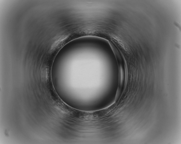 X0000091540740200708171243