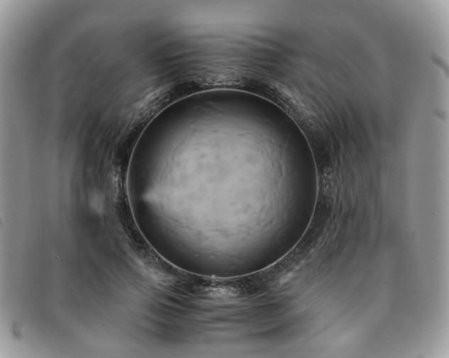 X0000091540741200708171243