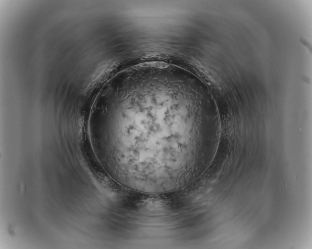 X0000091540742200708171243