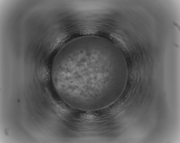 X0000091540743200708171243