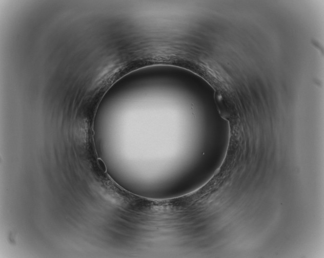 X0000091540744200708171243