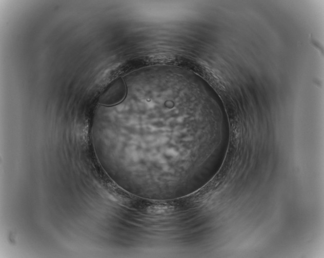 X0000091540745200708171243