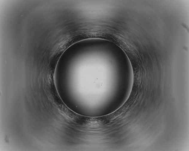 X0000091540746200708171243