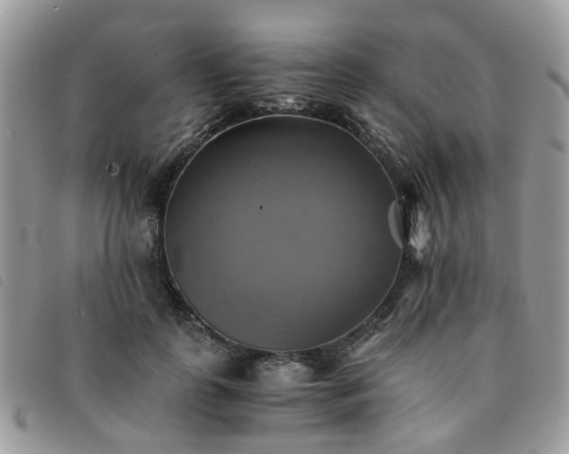X0000091540747200708171243