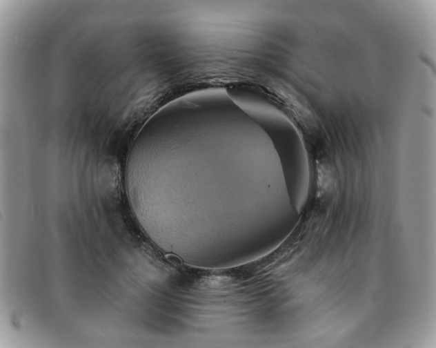 X0000091540748200708171243