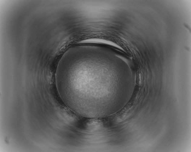 X0000091540750200708171244