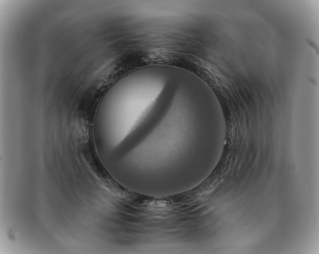 X0000091540751200708171244