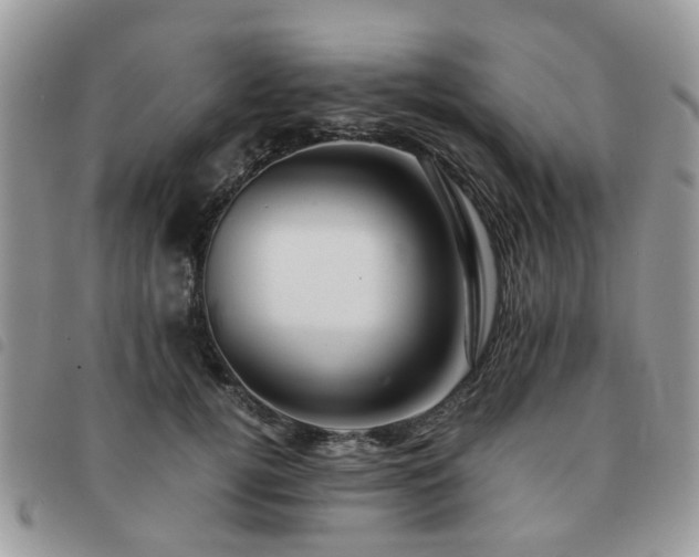 X0000091540752200708171244