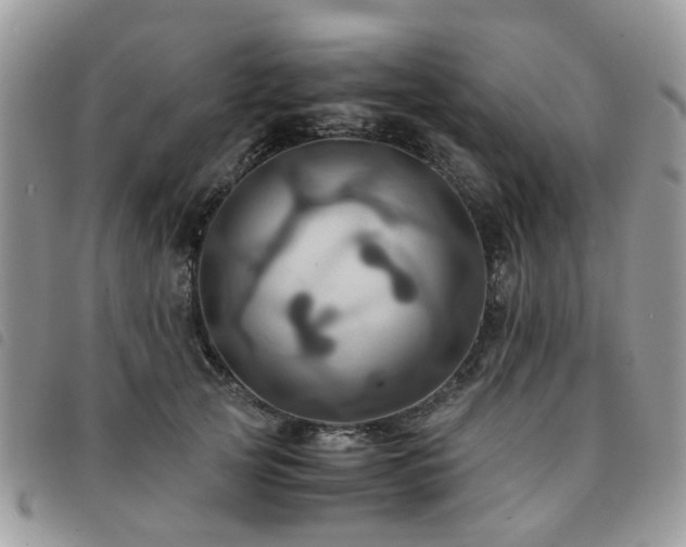 X0000091540753200708171244