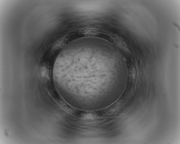 X0000091540755200708171244