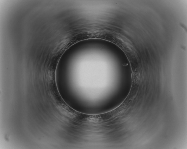X0000091540756200708171244