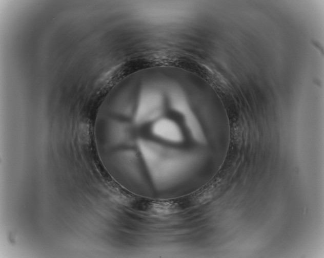X0000091540757200708171244
