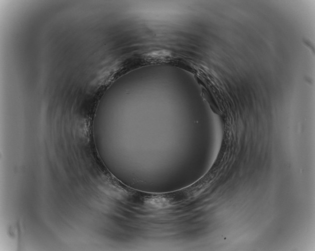 X0000091540759200708171244