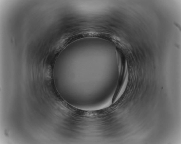 X0000091540760200708171244