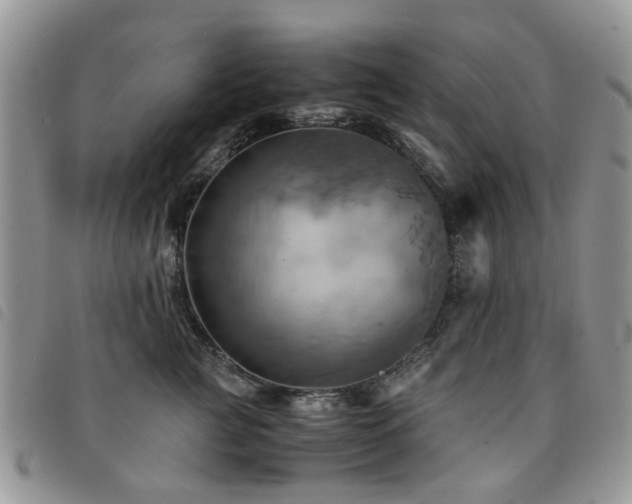 X0000091540761200708171244