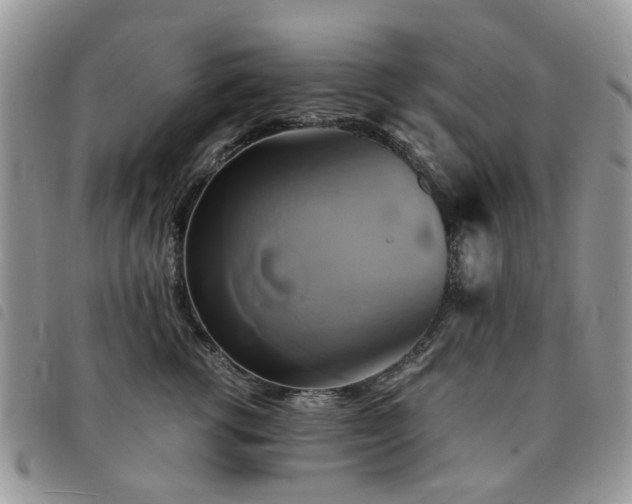 X0000091540762200708171244