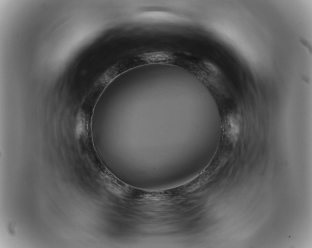 X0000091540763200708171244