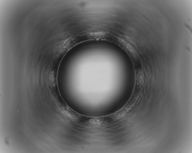 X0000091540764200708171244