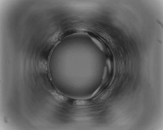 X0000091540766200708171244