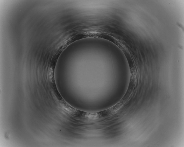 X0000091540767200708171244