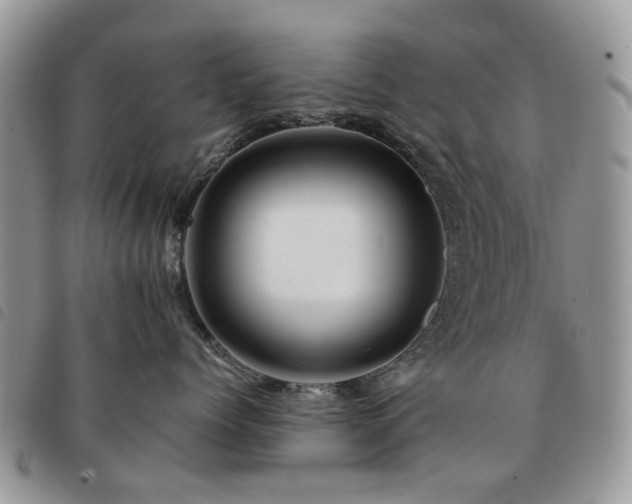 X0000091540768200708171244