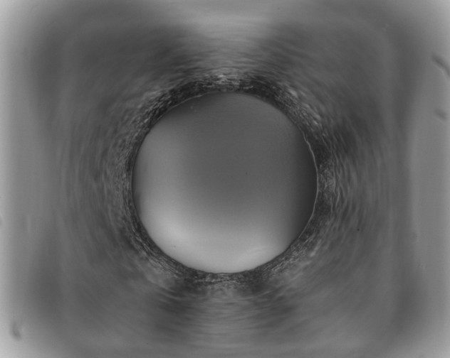 X0000091540769200708171243