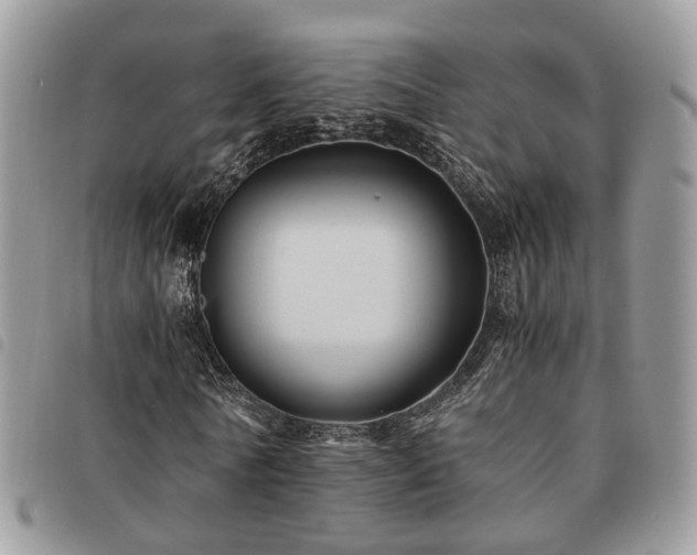 X0000091540770200708171243
