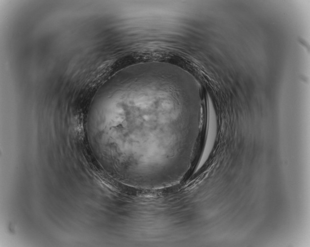 X0000091540771200708171243