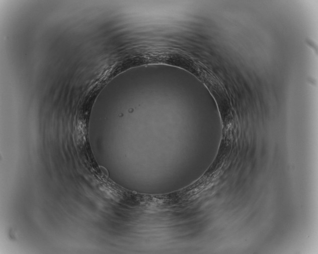 X0000091540772200708171243