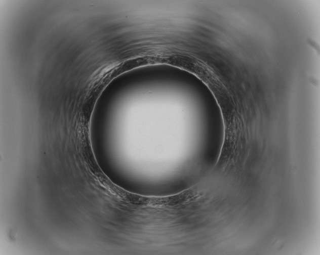 X0000091540773200708171243