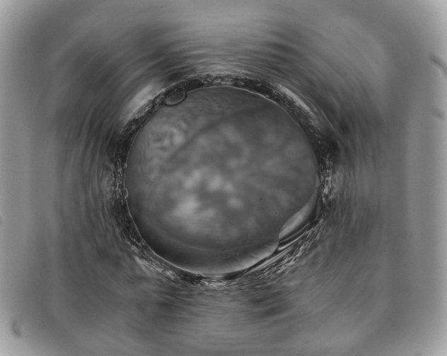 X0000091540775200708171243