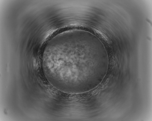 X0000091540776200708171243