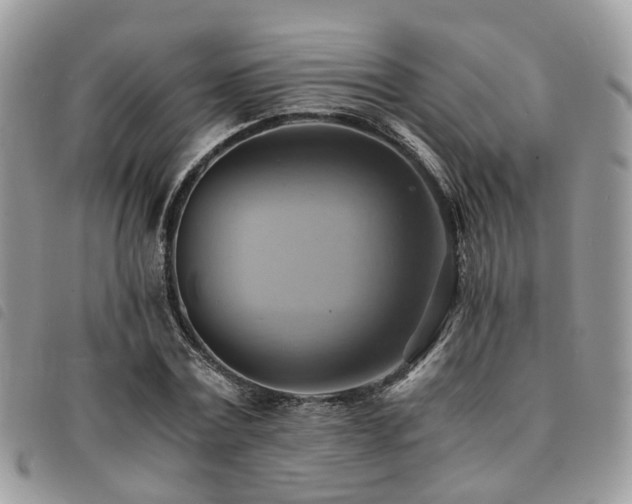 X0000091540779200708171243