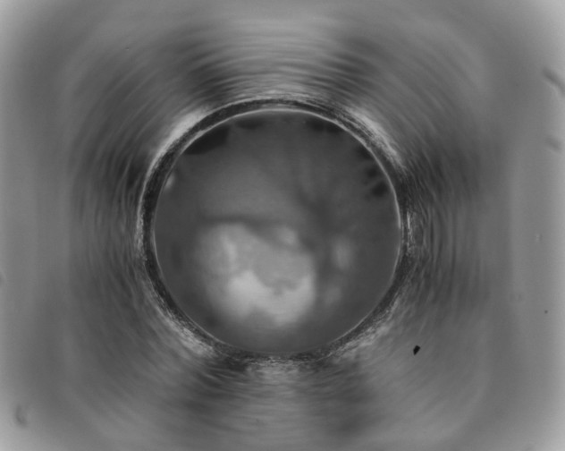 X0000091540780200708171243