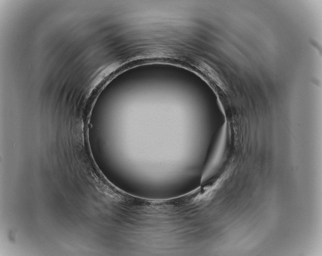 X0000091540781200708171243