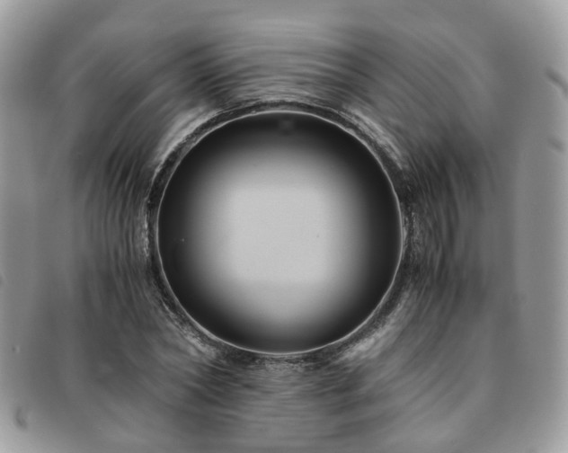 X0000091540782200708171243