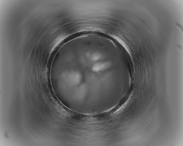 X0000091540783200708171243