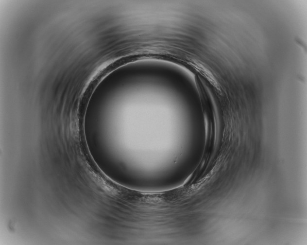 X0000091540784200708171243
