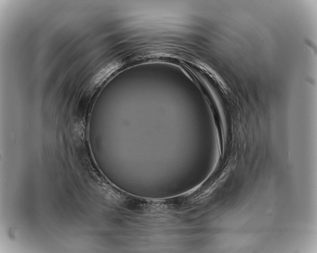 X0000091540785200708171243