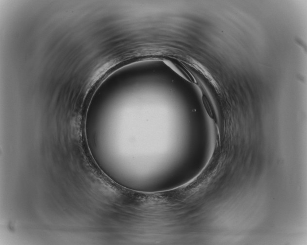 X0000091540786200708171243