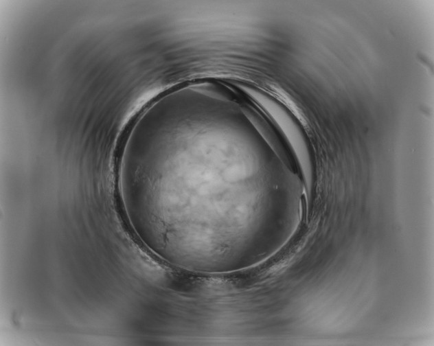 X0000091540787200708171243
