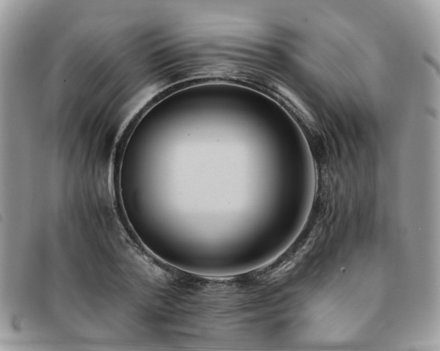 X0000091540788200708171243